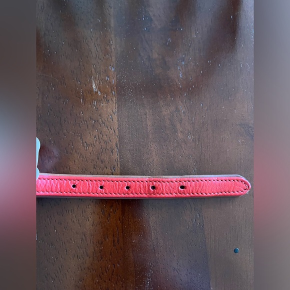 D&F (Digby & Fox) Rolled Leather Buckle Dog Collar - Picture 5 of 5